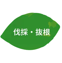 伐採・抜根